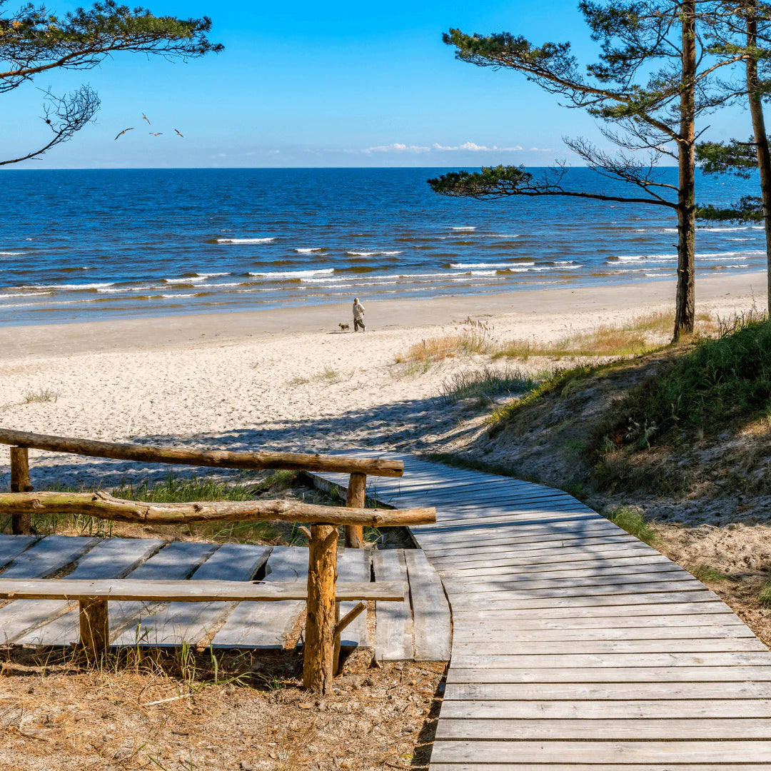 Coastal Therapy wax melt snap bar