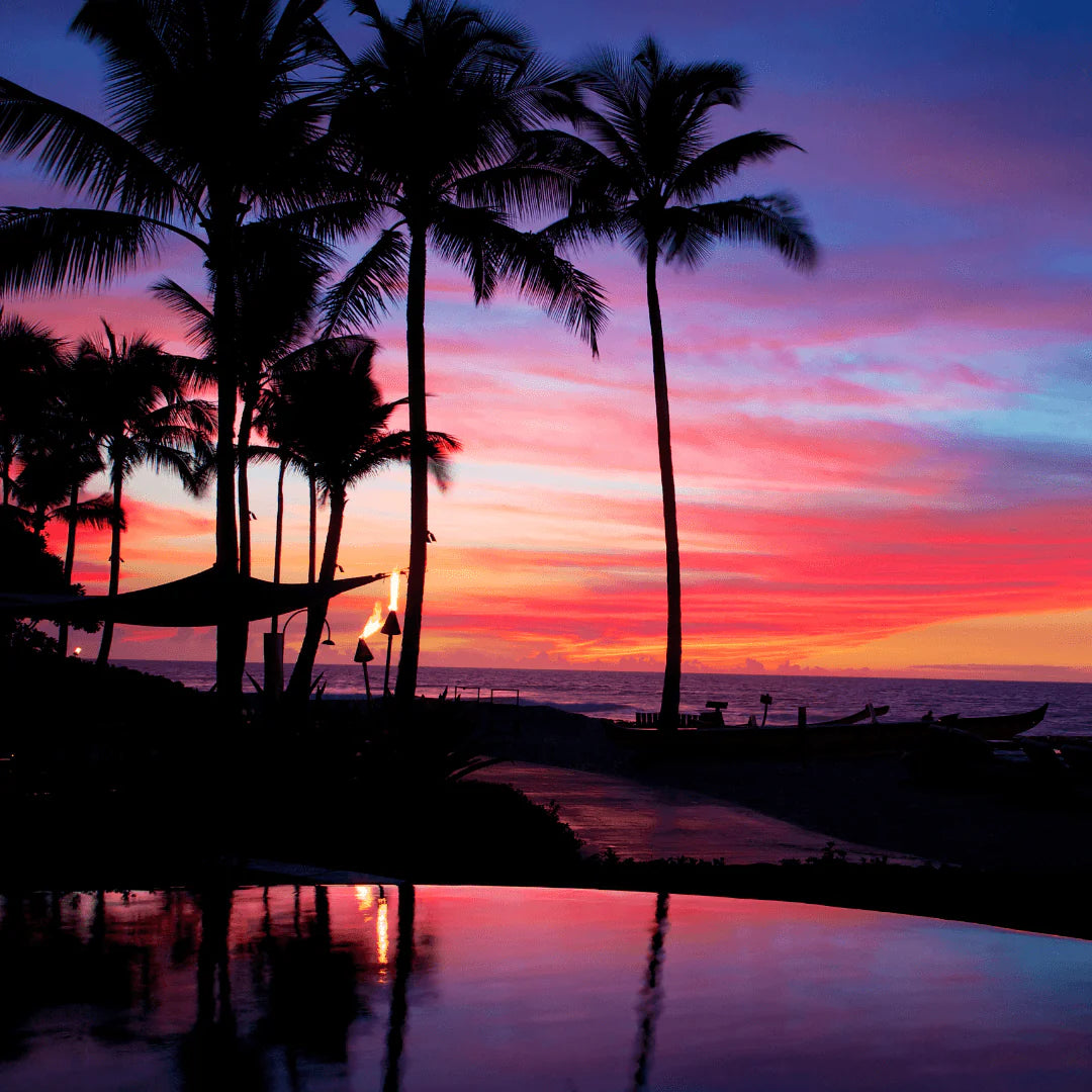 Leonora Tropical Sunset wax melt snap bar