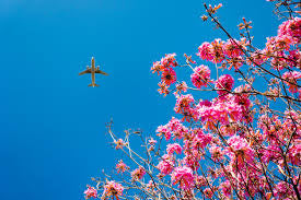 Refresh Spring Sky wax melt snap bar