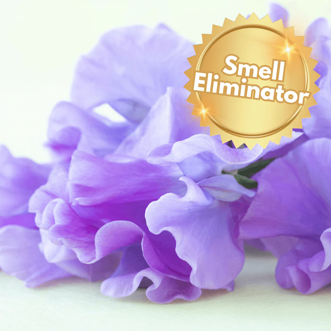 Sweet Pea & Jasmine wax melt snap bar